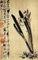 水仙のシタオ 1694 年古い中国語
